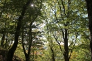 hr4 Wandertag in Grandenborn_86