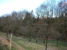 Rundgang Herbst 2007_102