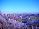Rundgang Raureif Winter 2007_15