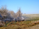 Rundgang Raureif Winter 2007_23