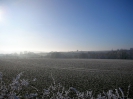 Rundgang Raureif Winter 2007_49