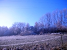 Rundgang Raureif Winter 2007_7