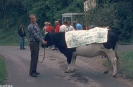 Kirmes 1981_15