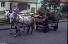 Kirmes 1990_10