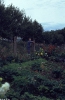 Kirmes 1991_36
