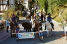 Sonntag Umzug (Kirmes 2011)_172