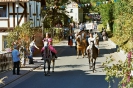 Sonntag Umzug (Kirmes 2011)_214