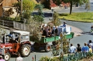 Sonntag Umzug (Kirmes 2011)_219