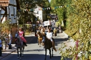 Sonntag Umzug (Kirmes 2011)_220