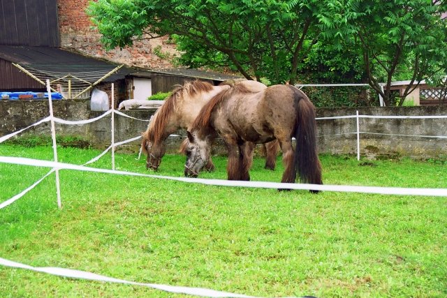 1225_jahre_renda_2011_126_20160830_1683913215