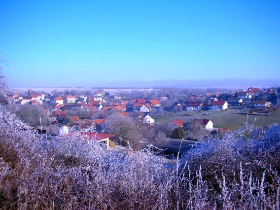 rundgang_raureif_winter_2007_14_20160830_1249925893