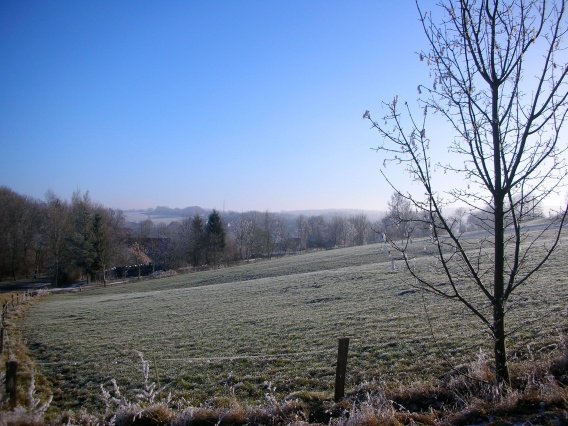 rundgang_raureif_winter_2007_39_20160830_1762887409