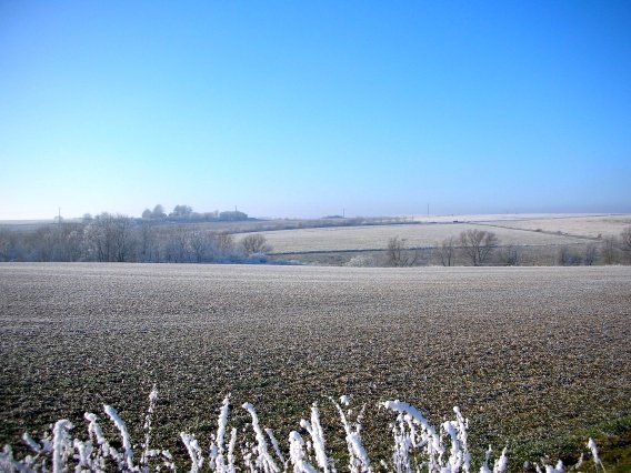 rundgang_raureif_winter_2007_48_20160830_1840577560