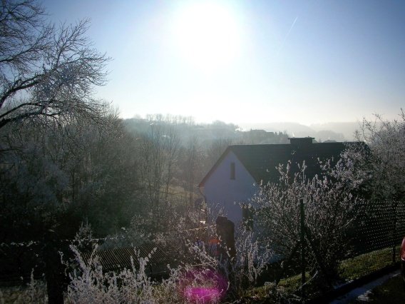 rundgang_raureif_winter_2007_52_20160830_1494585819