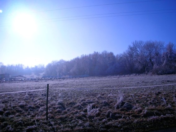 rundgang_raureif_winter_2007_6_20160830_1287459255