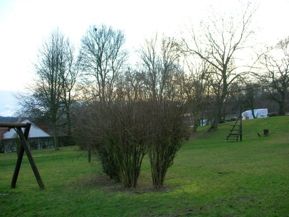 rundgang_herbst_2007_36_20160830_1119561781